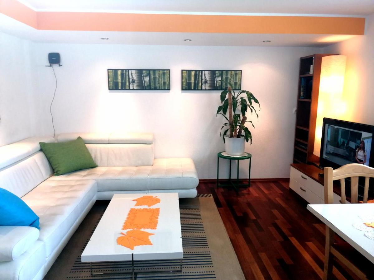 Mateja House - Apartments In Zirovnica Rodine Exteriér fotografie